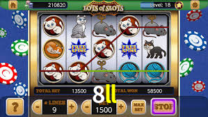 Premium Interface 8ll